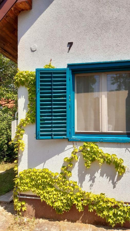 Vila Szalakota Haz Balatongyörök Exteriér fotografie