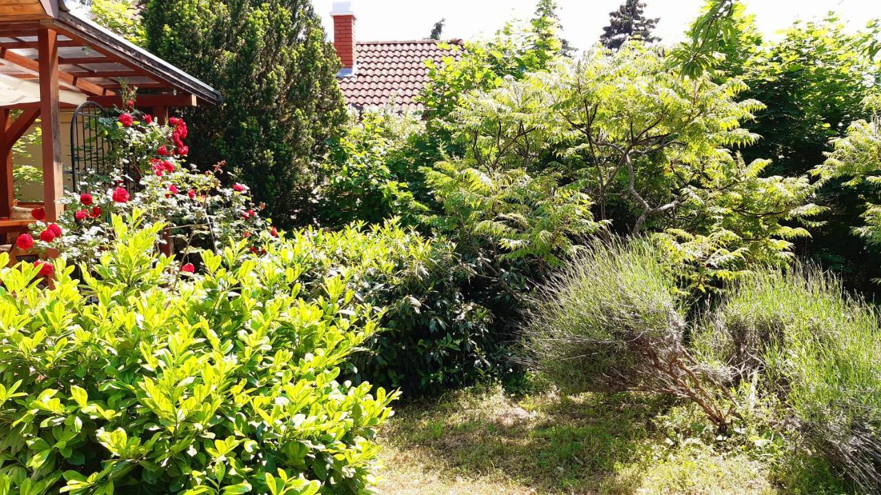Vila Szalakota Haz Balatongyörök Exteriér fotografie